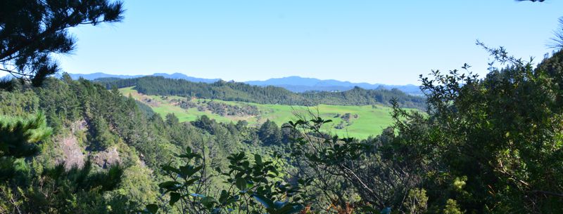 Kapowai Kiwi Group NZ