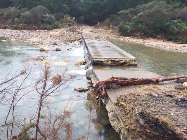 Kapowai Kiwi Group NZ News