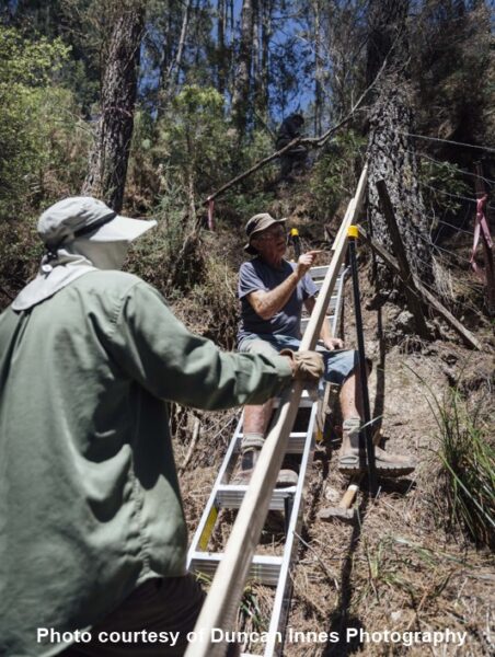 Kapowai Kiwi Group donations for NZ kiwi